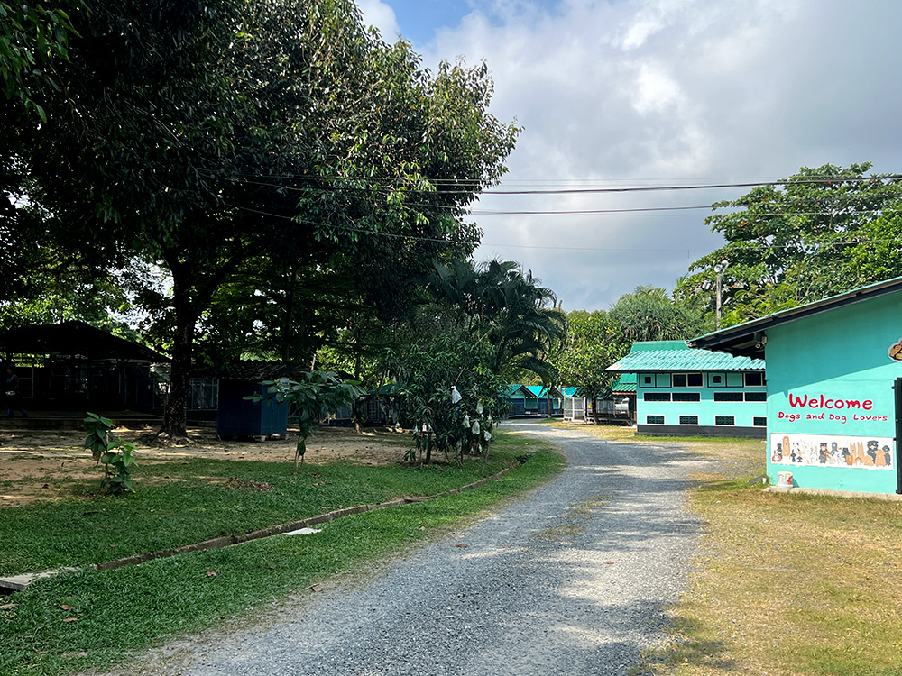 hotel-standard-room-2