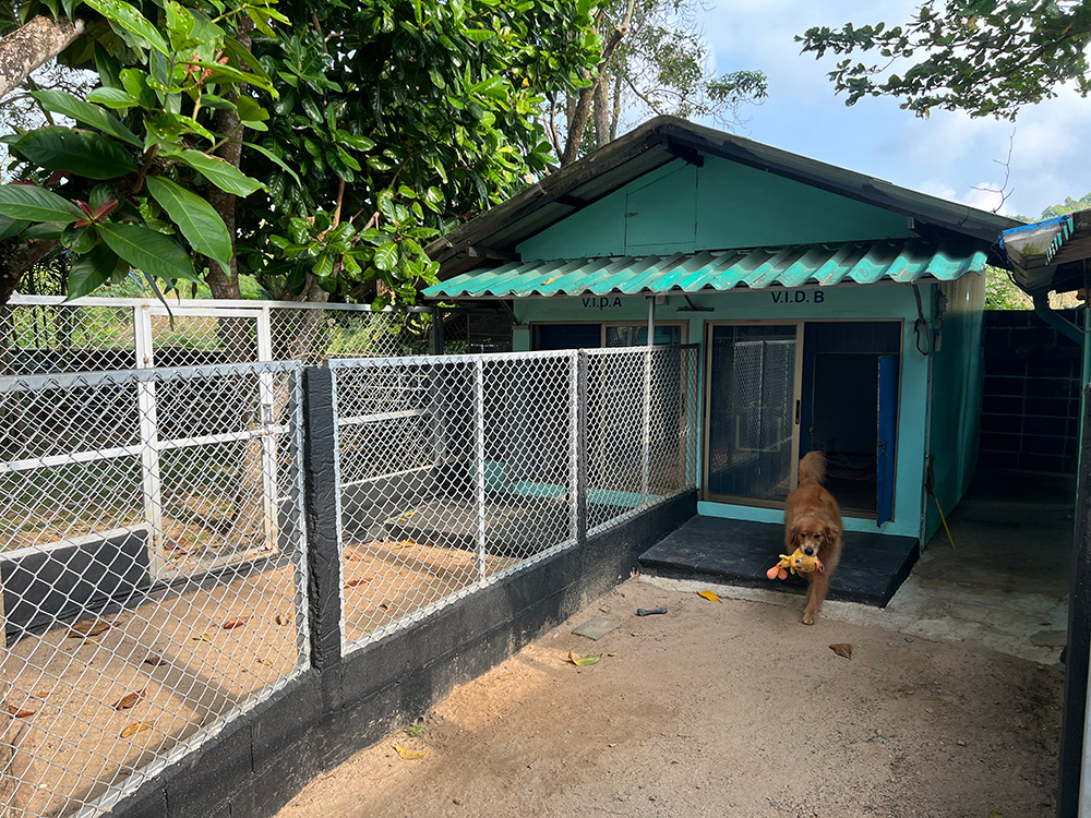 hotel-vid-with-air-con-room