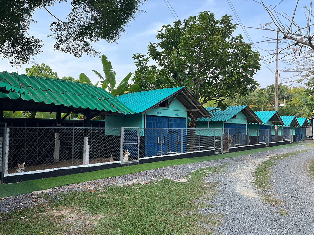 hotel-vid-with-fan-room