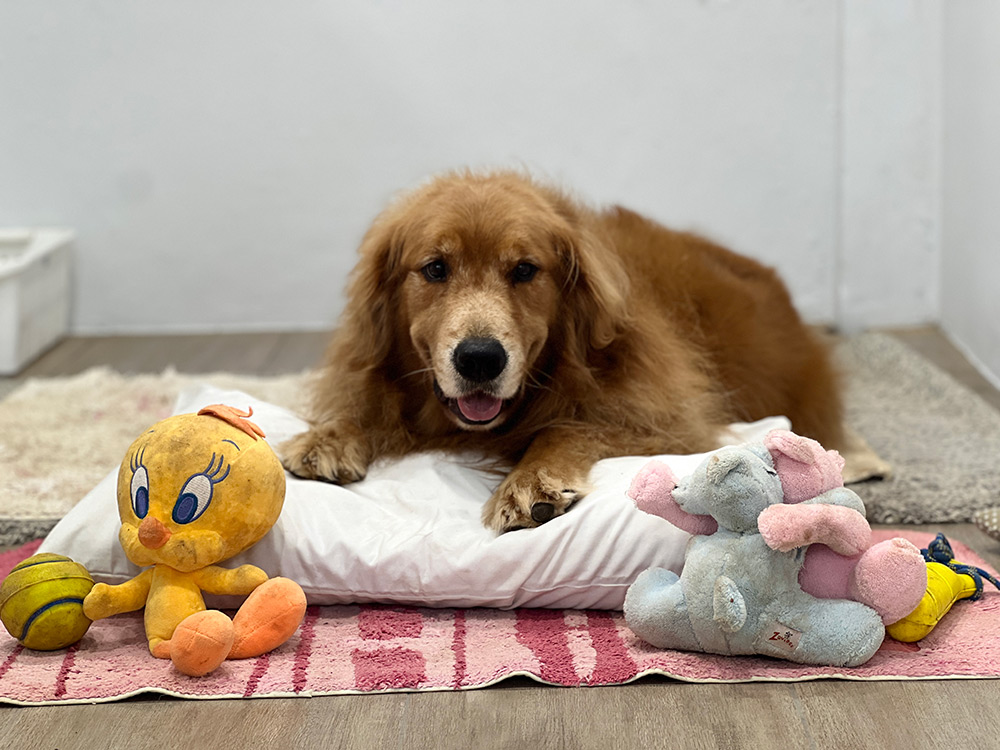 room-vid-with-air-con-4