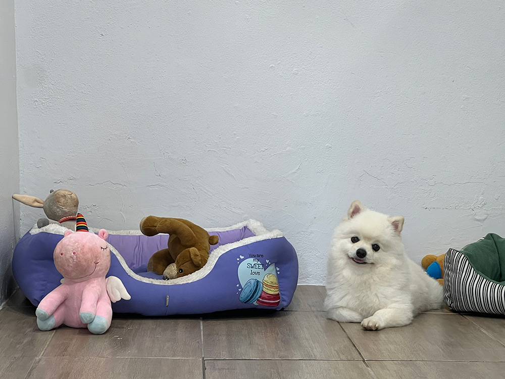 room-vid-with-air-con-5