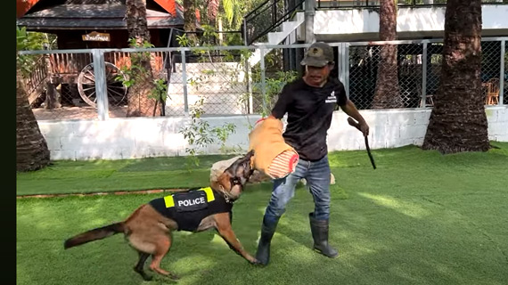 video-cover-protection-course