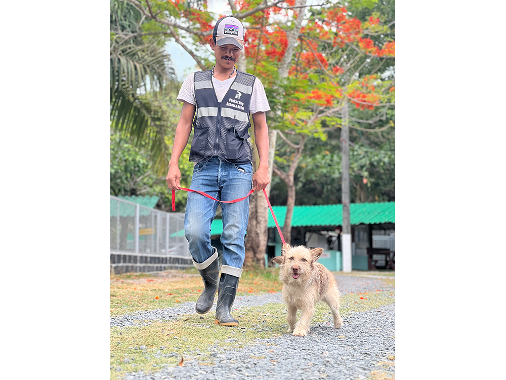 hotel-standard-room-4