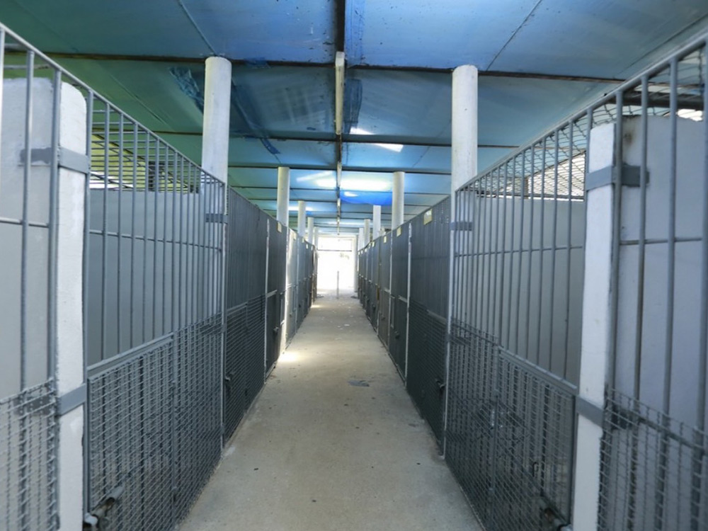 hotel-standard-room-5