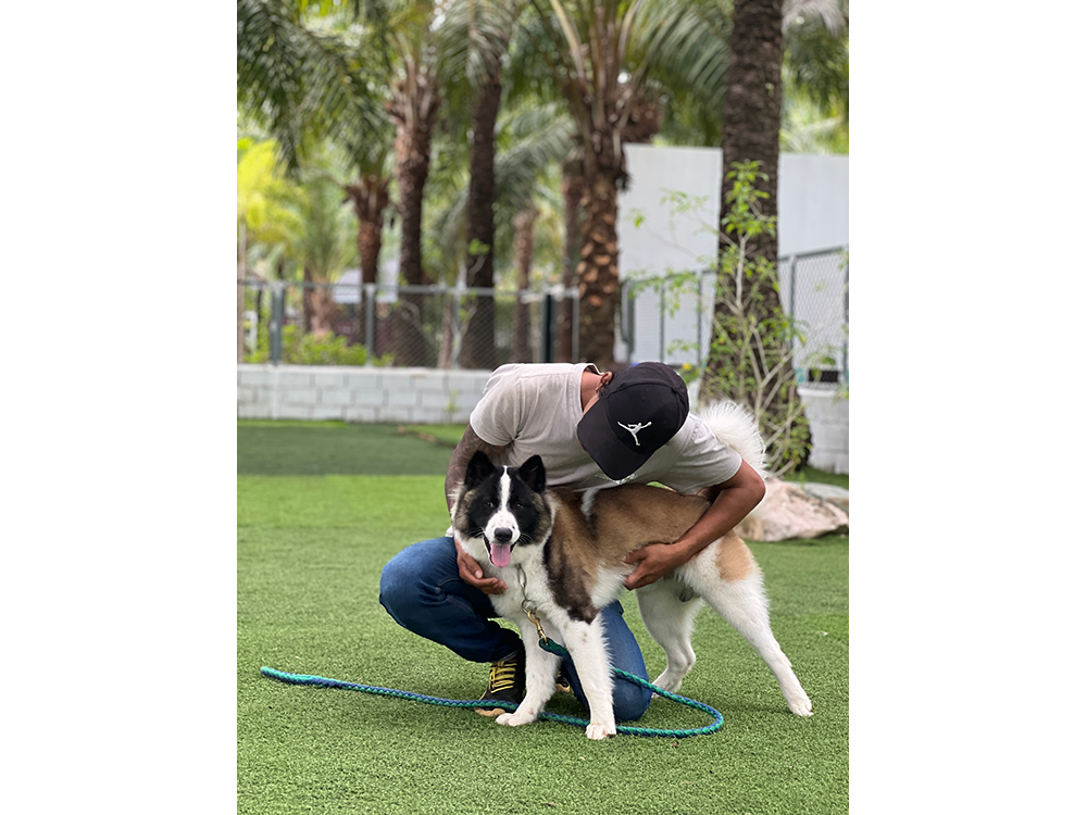 room-air-conditioning-4