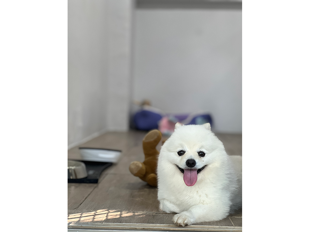 room-vid-with-air-con-6