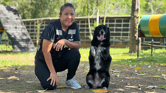 video-cover-advance-training-bamboo