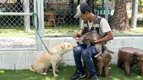 video-cover-behavioral-training-bonding-with-cat-kluayhom