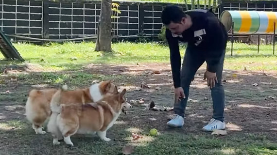 video-cover-recreational-training