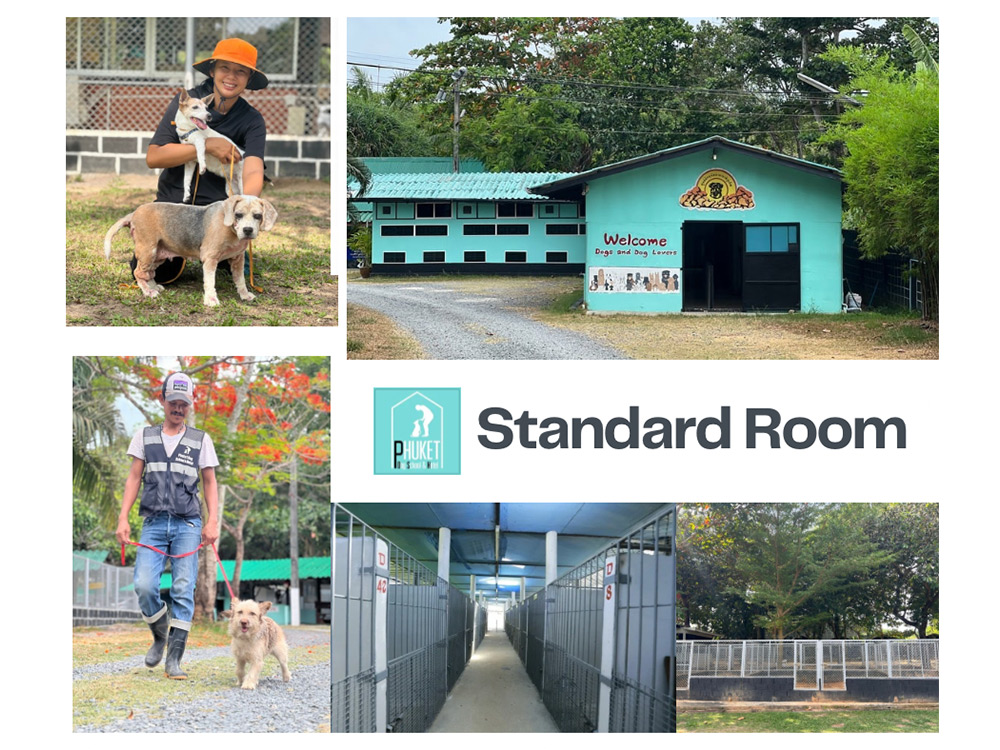 hotel-standard-room-main