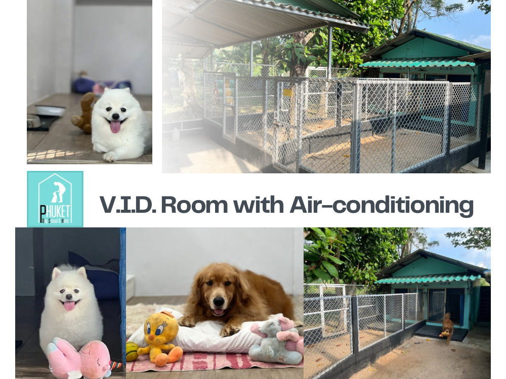 hotel-vid-with-air-con-room-main