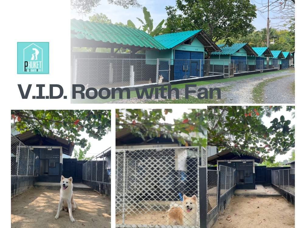 hotel-vid-with-fan-room-main