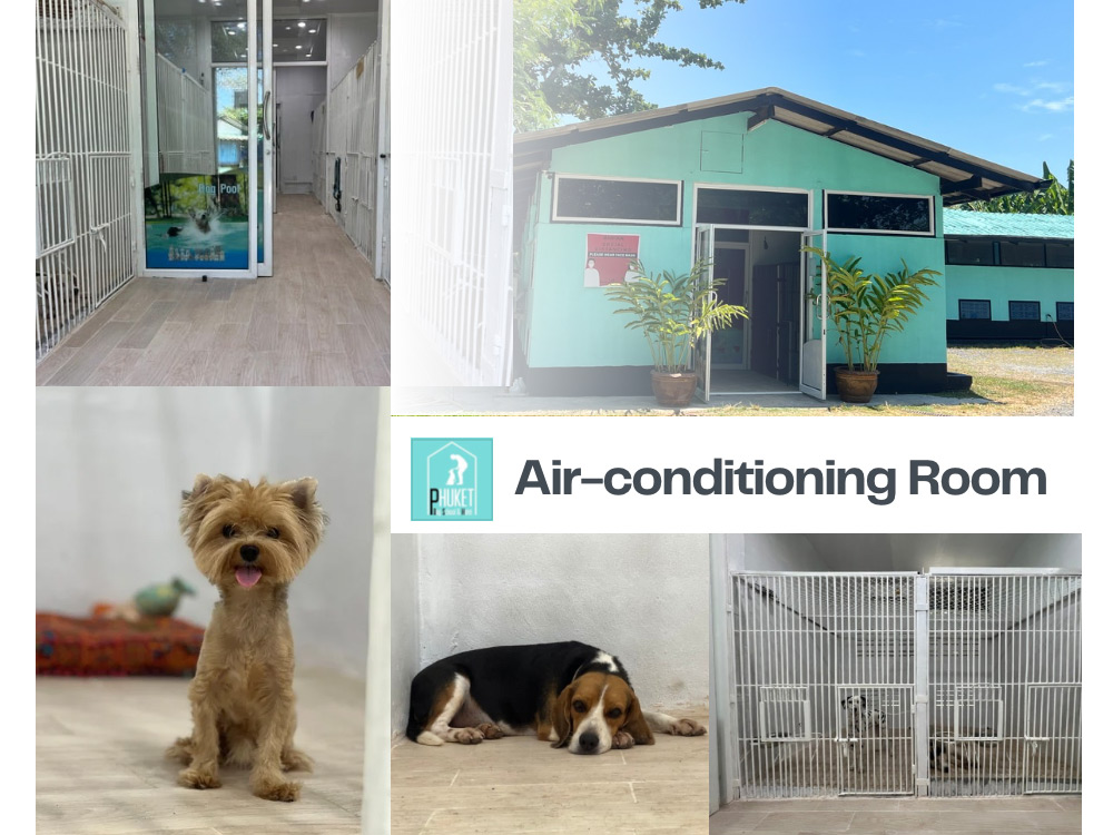 room-air-conditioning-main