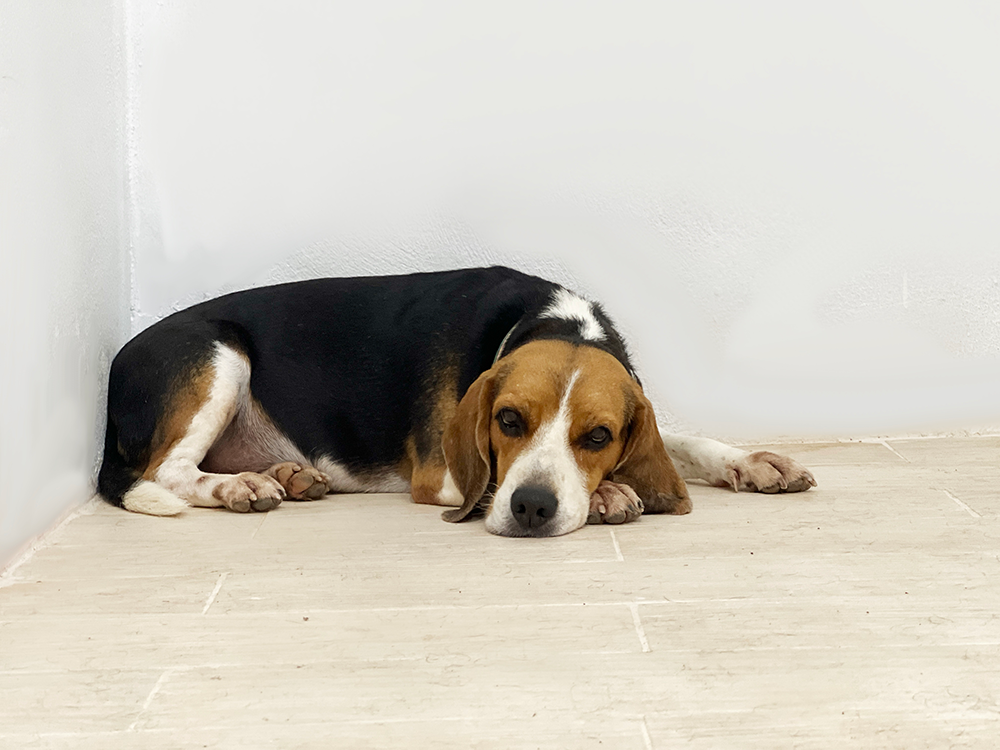 room-air-conditioning-update-5-update