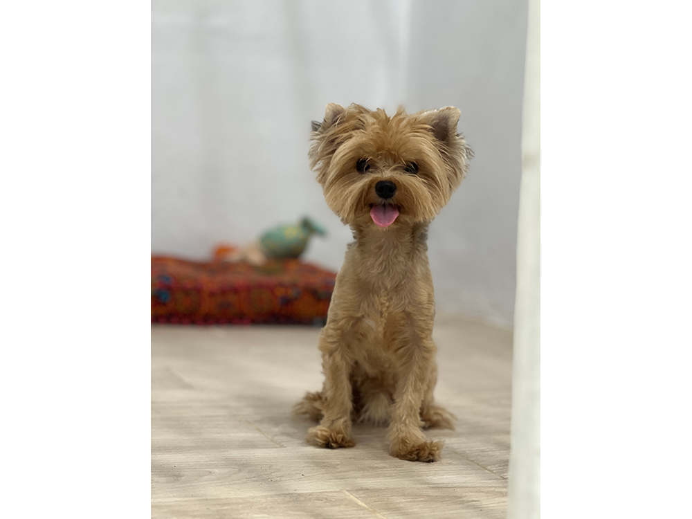 room-air-conditioning-update-6